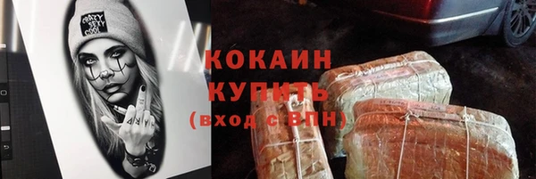 твердый Арсеньев
