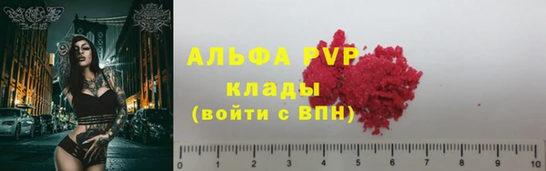 твердый Арсеньев