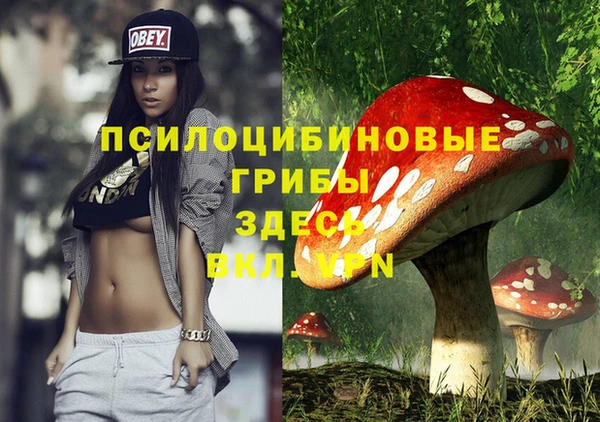 твердый Арсеньев