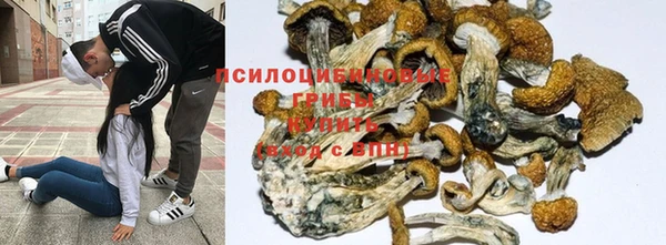 а пвп мука Новодвинск