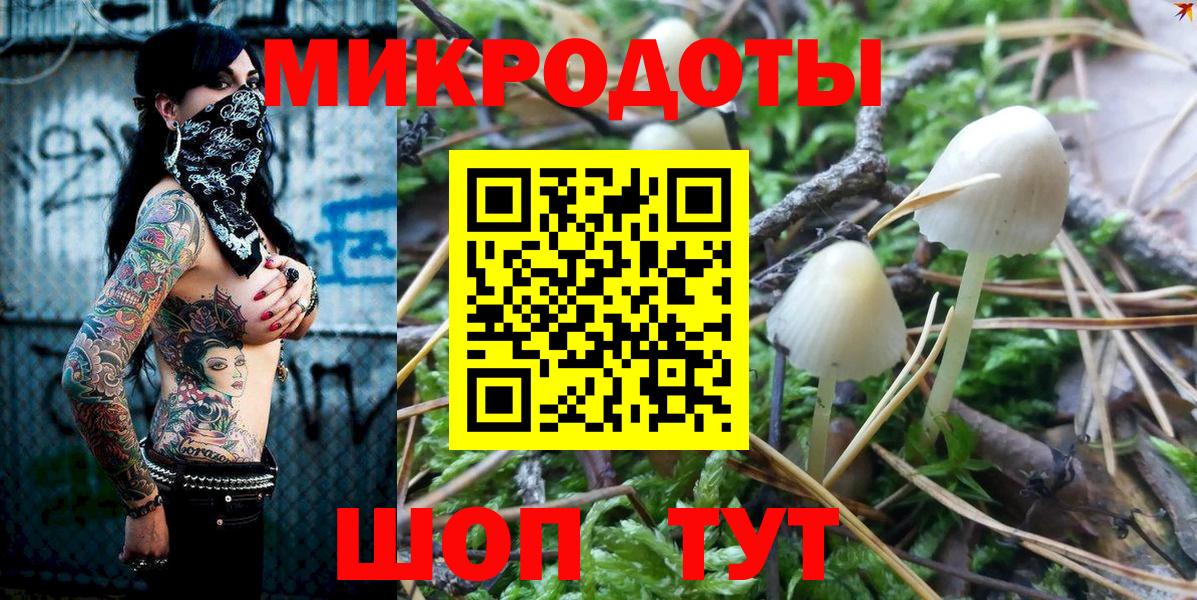 Галлюциногенные грибы Psilocybine cubensis  Псилоцибиновые грибы Psilocybe  Вход с VPN  Ессентуки 
