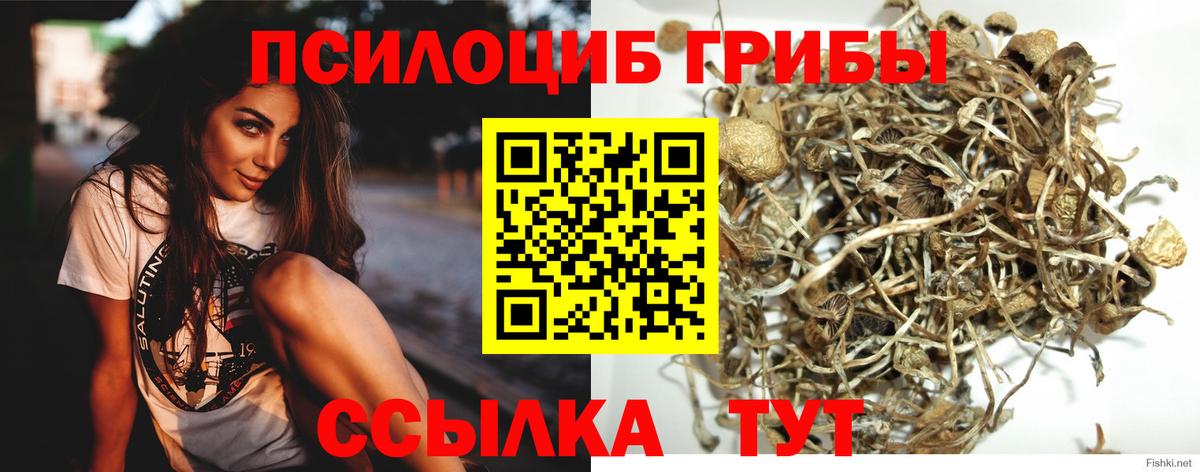 АМФЕТАМИН Ессентуки